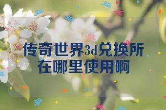 传奇世界3d兑换所在哪里使用啊