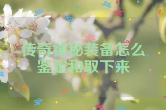 传奇神秘装备怎么鉴定和取下来