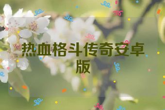 热血格斗传奇安卓版