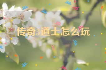 传奇3道士怎么玩