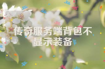 传奇服务端背包不显示装备
