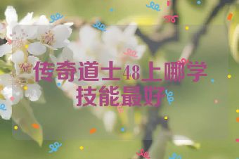 传奇道士48上哪学技能最好