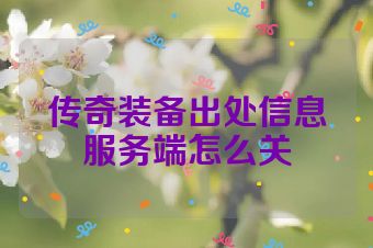 传奇装备出处信息服务端怎么关