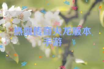 热血传奇火龙版本手游