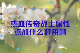 热血传奇战士属性点加什么好用啊