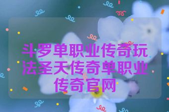 斗罗单职业传奇玩法圣天传奇单职业传奇官网