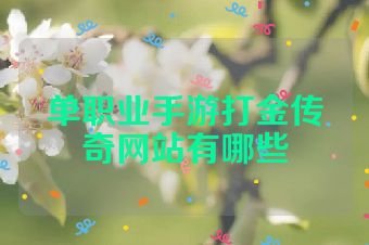 单职业手游打金传奇网站有哪些