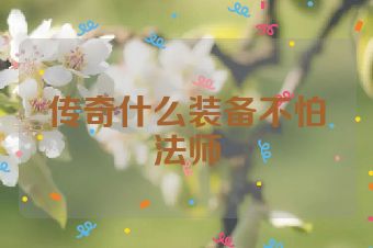 传奇什么装备不怕法师