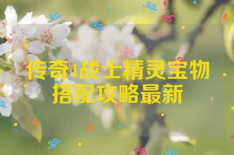 传奇4战士精灵宝物搭配攻略最新