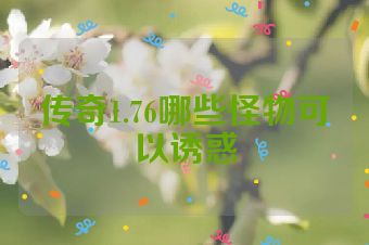 传奇1.76哪些怪物可以诱惑