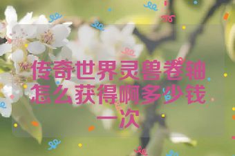 传奇世界灵兽卷轴怎么获得啊多少钱一次