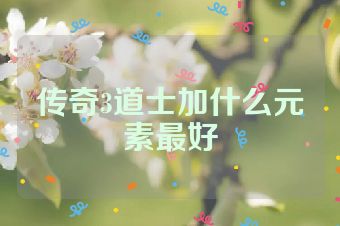 传奇3道士加什么元素最好