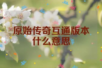 原始传奇互通版本什么意思