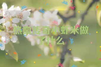 热血传奇小虾米做了什么