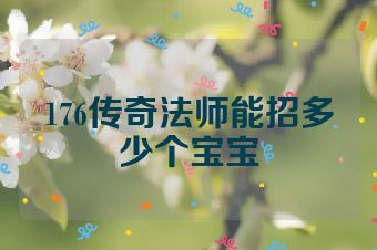 176传奇法师能招多少个宝宝