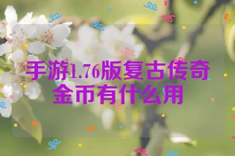 手游1.76版复古传奇金币有什么用