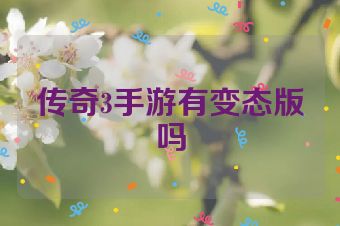 传奇3手游有变态版吗