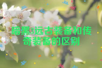 暗黑3远古装备和传奇装备的区别