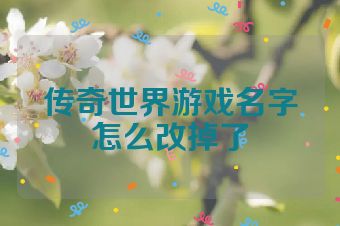 传奇世界游戏名字怎么改掉了