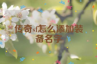 传奇sf怎么添加装备名字