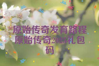 原始传奇发育路程原始传奇2025礼包码