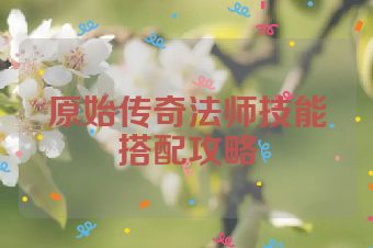 原始传奇法师技能搭配攻略