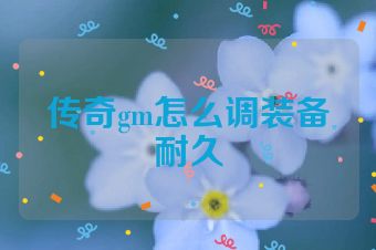 传奇gm怎么调装备耐久