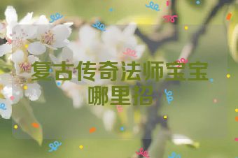 复古传奇法师宝宝哪里招