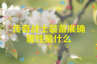 传奇战士装备准确属性是什么