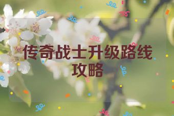 传奇战士升级路线攻略
