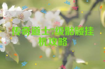 传奇道士7级骷髅挂机攻略