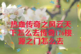 热血传奇之风云天下怎么去传奇176桃源之门怎么去