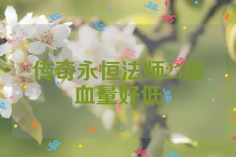 传奇永恒法师25级血量好低
