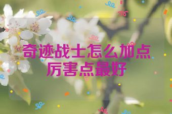 奇迹战士怎么加点厉害点最好