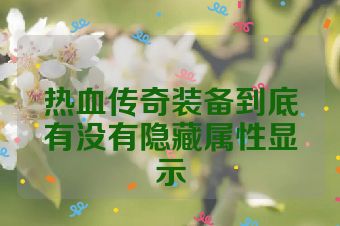 热血传奇装备到底有没有隐藏属性显示