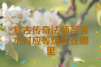 复古传奇法师圣言术对应等级怪在哪里