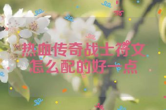 热血传奇战士符文怎么配的好一点