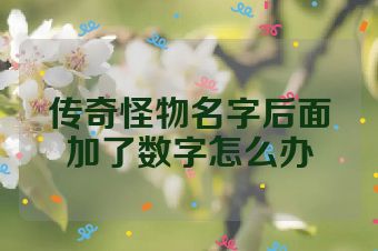 传奇怪物名字后面加了数字怎么办