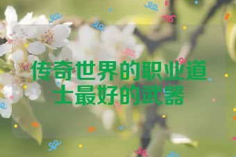 传奇世界的职业道士最好的武器