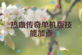 热血传奇单机版技能加点