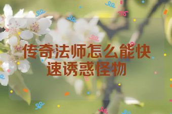 传奇法师怎么能快速诱惑怪物