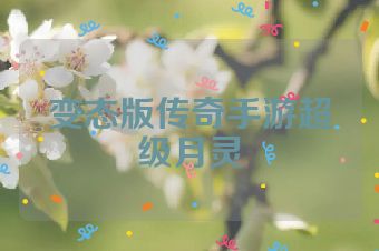 变态版传奇手游超级月灵