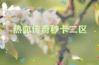 热血传奇秒卡二区