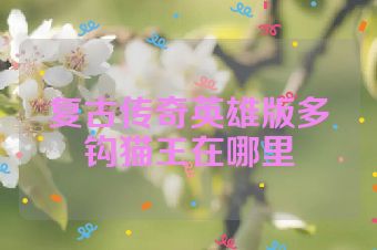 复古传奇英雄版多钩猫王在哪里