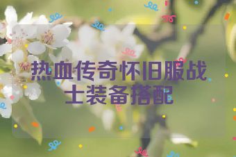 热血传奇怀旧服战士装备搭配