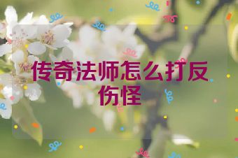 传奇法师怎么打反伤怪