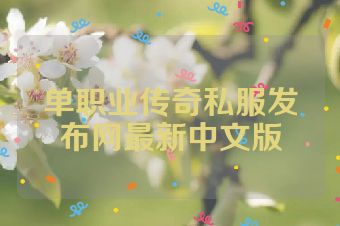 单职业传奇私服发布网最新中文版