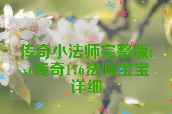 传奇小法师完整版txt传奇176法师宝宝详细