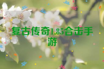 复古传奇1.85合击手游