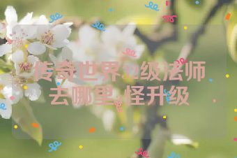 传奇世界32级法师去哪里a怪升级